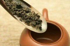 <b>乌龙茶怎么泡好喝 乌龙茶的泡法的正确方法</b>