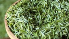 什么茶是绿茶，绿茶品种有哪些