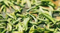 红茶树与绿茶树有区别吗，常喝红茶好还是绿茶好